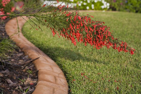 Brick Edging in Matthews