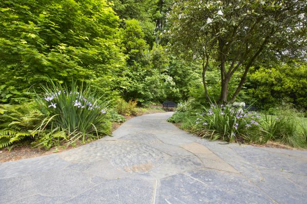 Stone Hardscape Service in Matthews